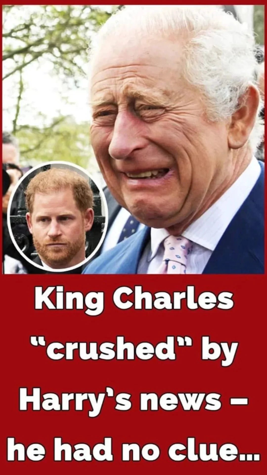 King Charles Was ‘crushed’ By Harry And Meghan’s Announcement – The ...