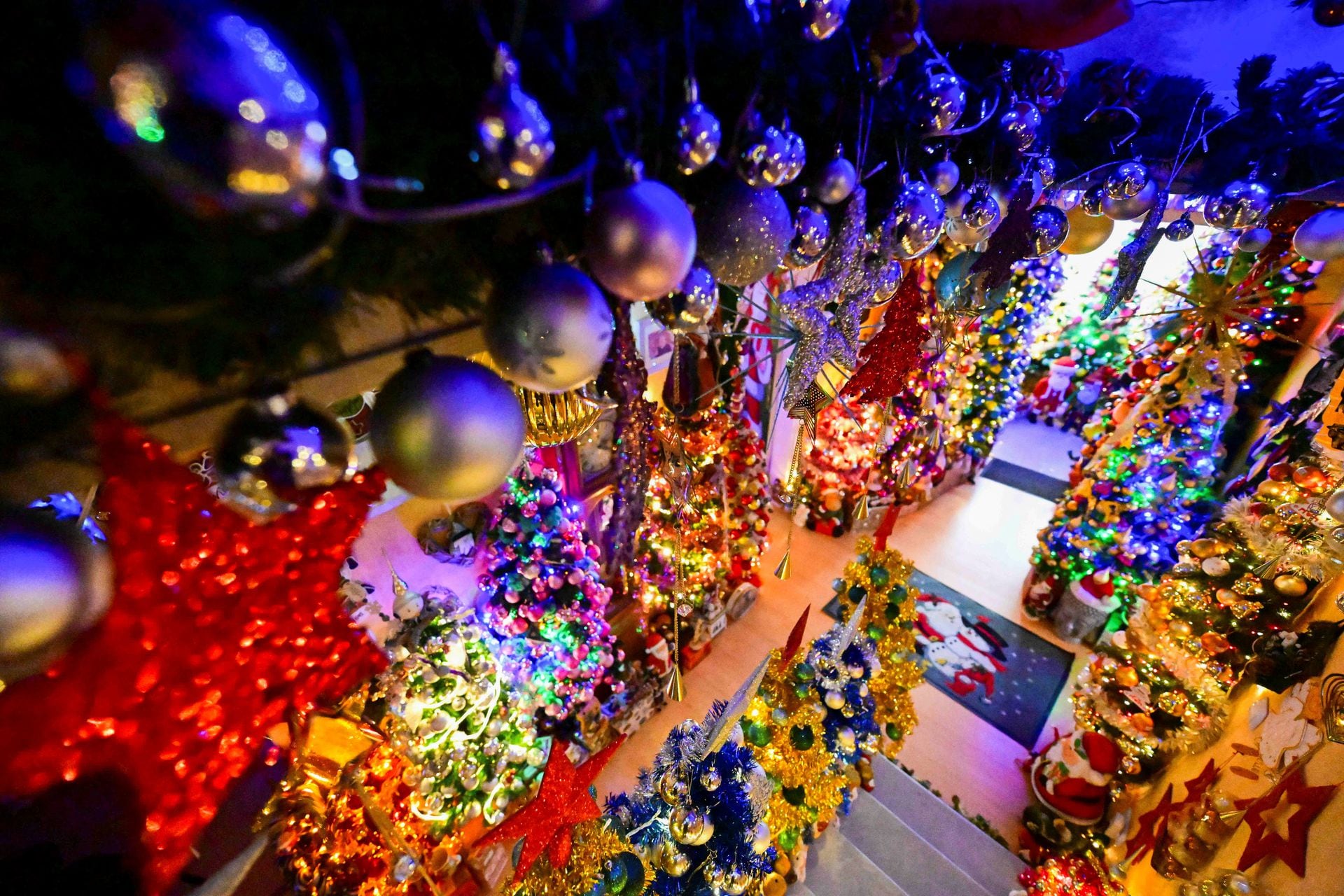 A family is breaking their own record for the most Christmas trees in their home