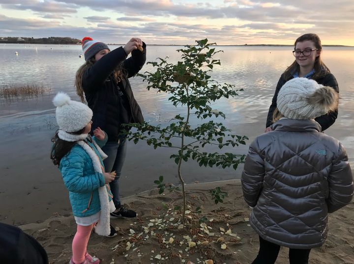 The author's kids and nieces decorating the Seagull Day tree in 2018.