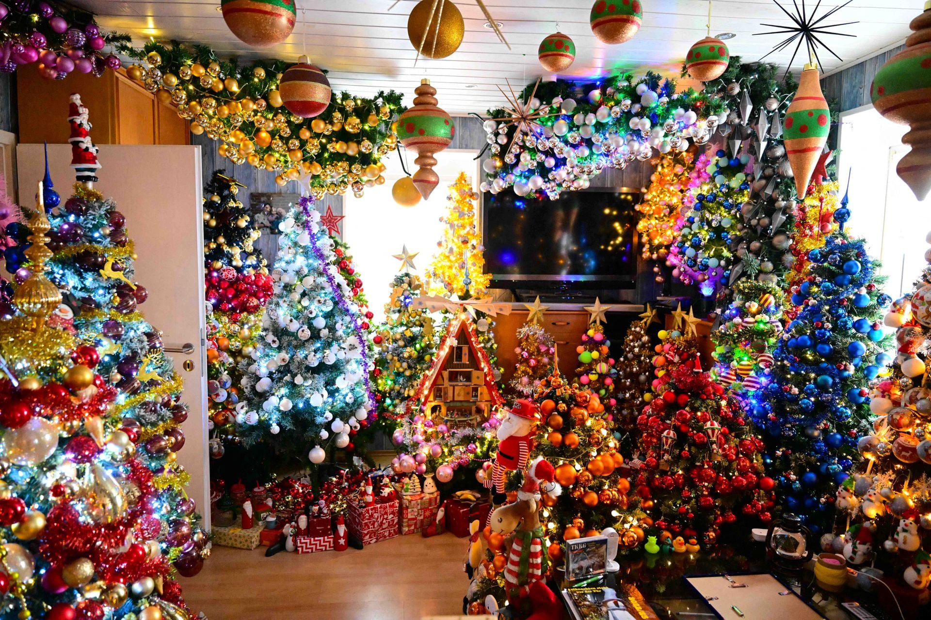 A family is breaking their own record for the most Christmas trees in their home