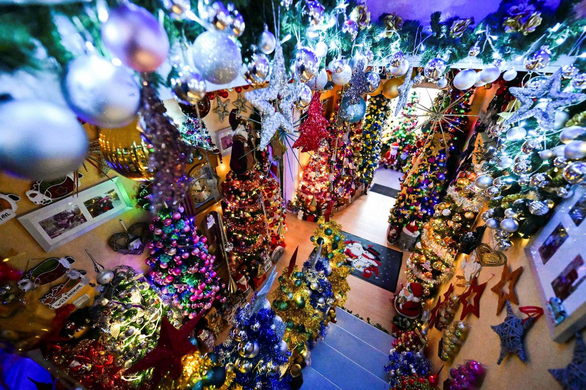 A family is breaking their own record for the most Christmas trees in their home