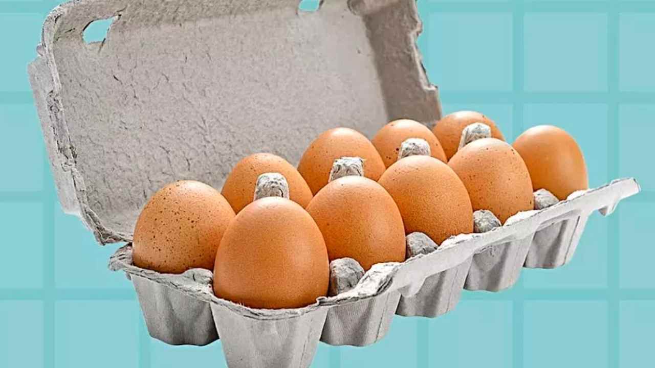 Eggs in the carton