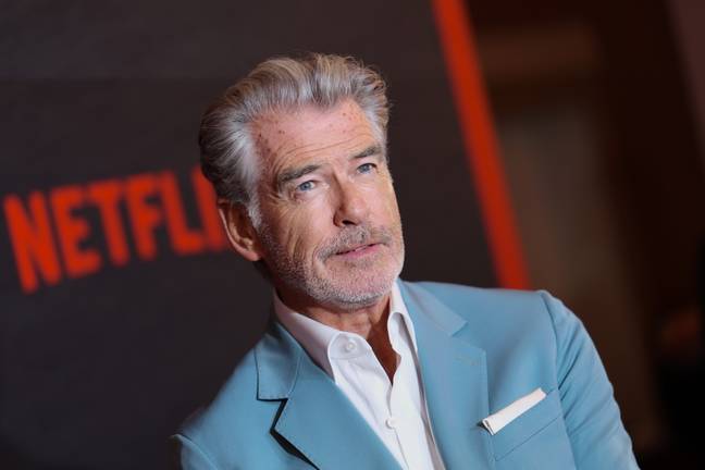 Brosnan was hit with the citations on 26 December. Credit: Robin L Marshall/WireImage