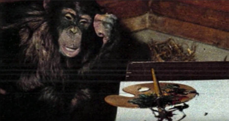 Pierre Brassau The chimpanzee painter who deceived the avant garde world 1