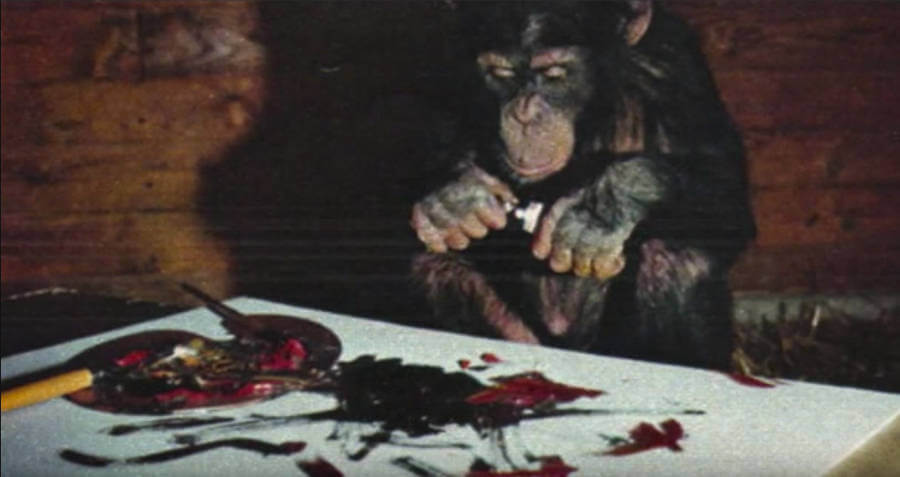 Pierre Brassau The chimpanzee painter who deceived the avant garde world 2