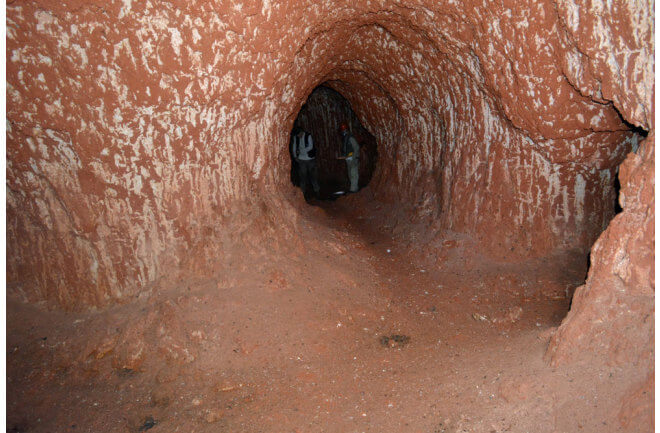 Tunnels Dug by ancient giant sloths A South American Megafauna 1