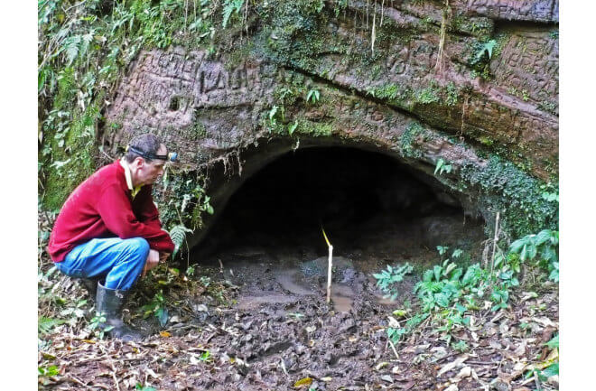 Tunnels Dug by ancient giant sloths A South American Megafauna 3