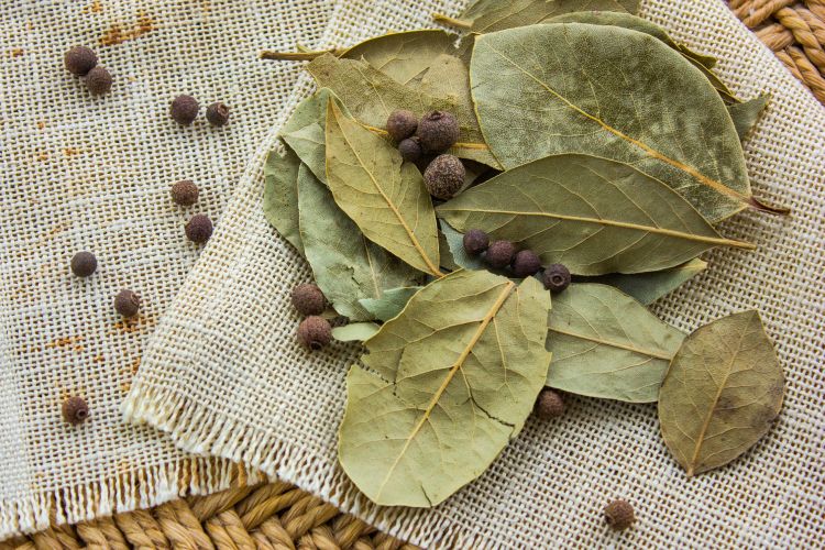 cockroaches-bay-leaves-crushed-bay-leaves-dry-bay-leaves