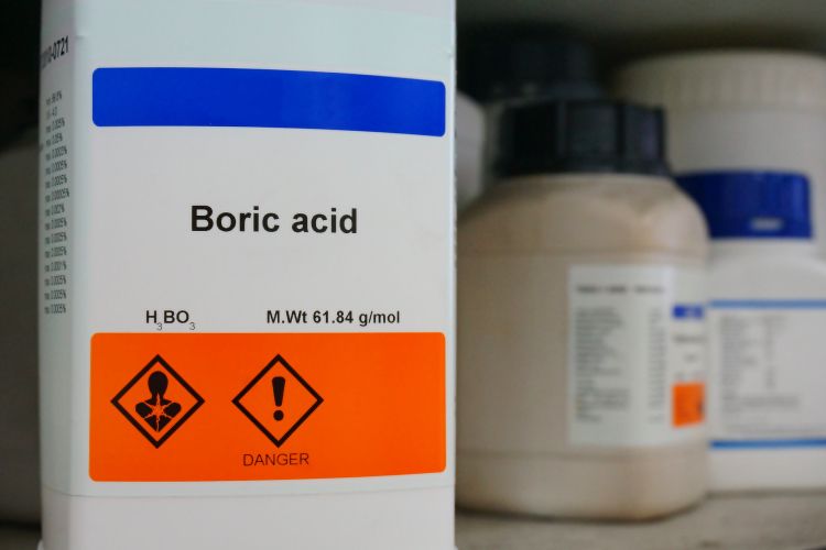 cockroaches-boric acid-boric-powder-borax