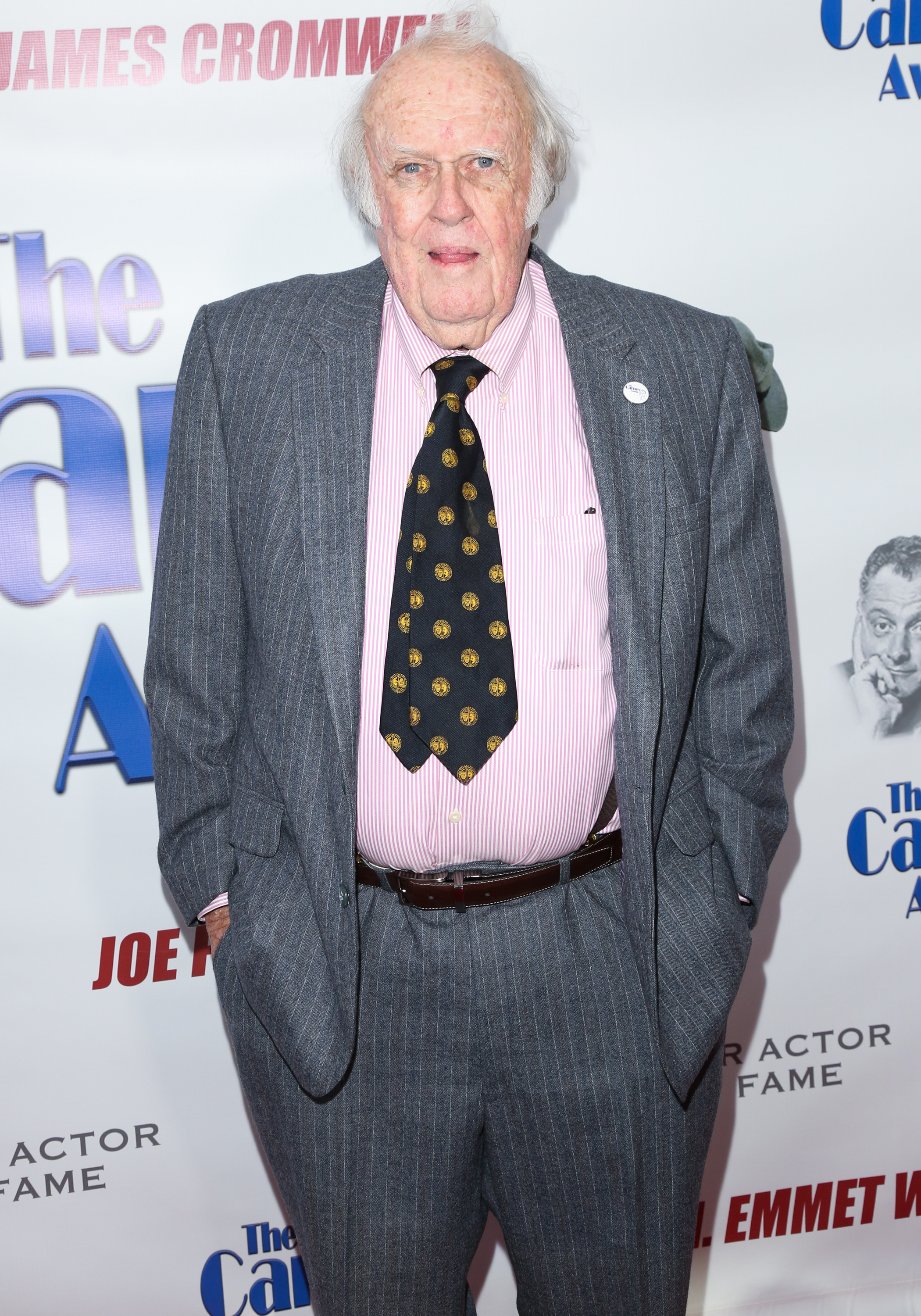 M. Emmet Walsh during the 2018 Carney Awards at The Broad Stage on October 28, 2018, in Santa Monica, California. | Source: Getty Images