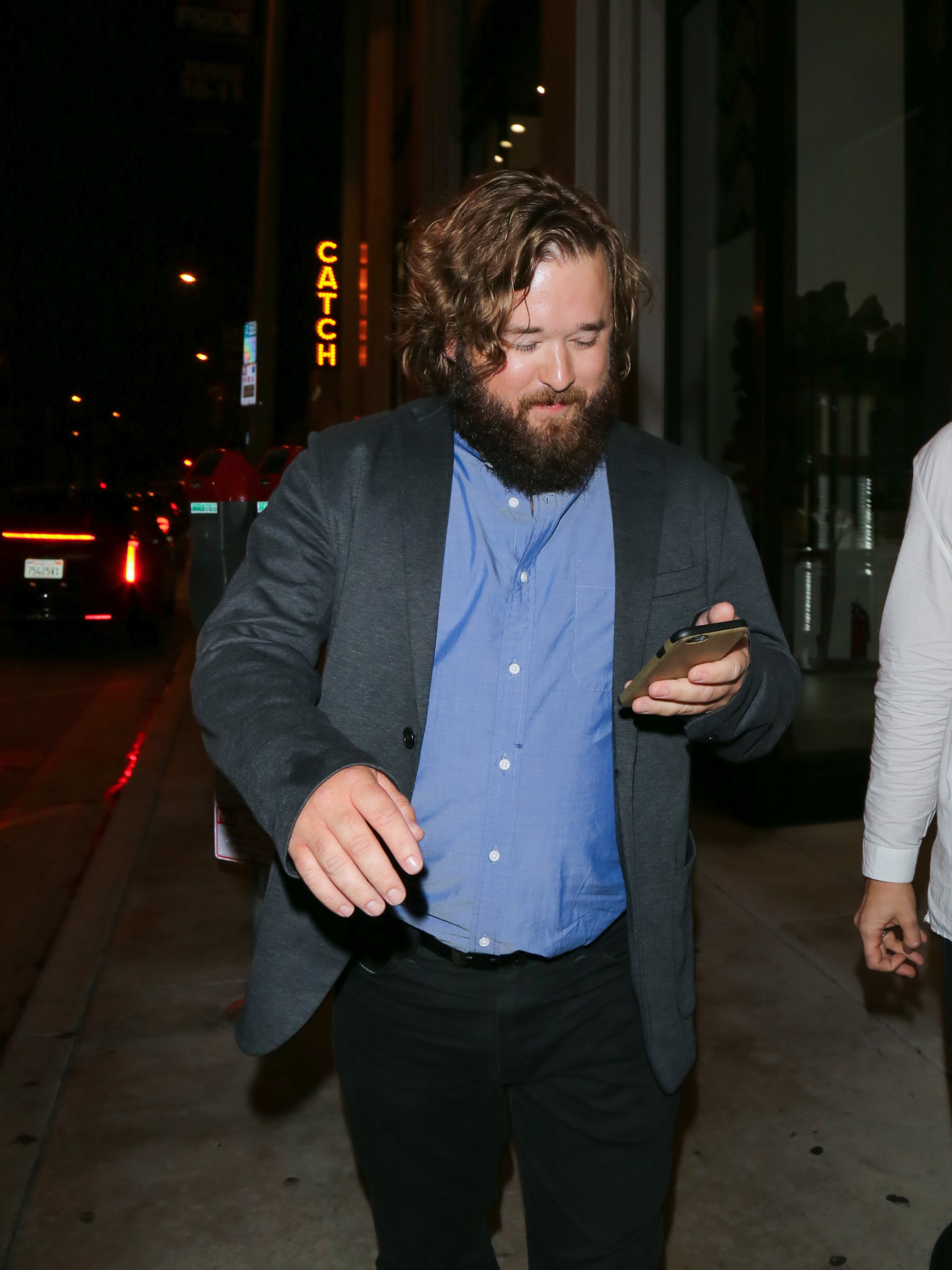 Haley Osment seen on June 5, 2017 in Los Angeles, California. | Source: Getty Images