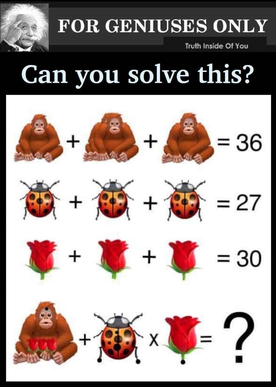 Can you solve this?