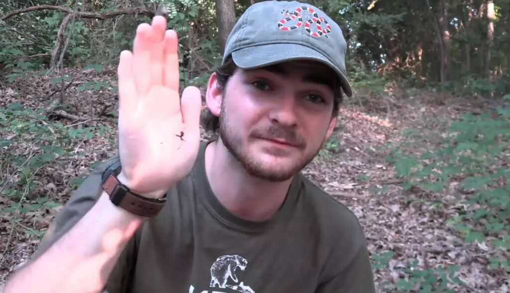 Man holding a black widow with a forest in the background. 